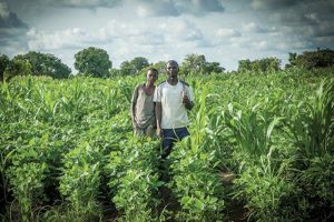 1_bD2FC_ufHliYDvlKlwYwxA