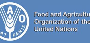 Food-and-Agriculture-Organization-FAO-840×400
