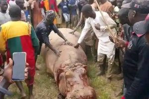 New Project – 2024-10-08T153148.876