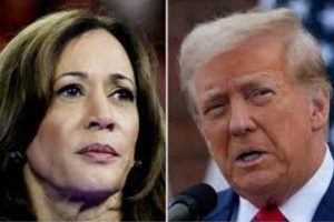 New Project – 2024-10-16T112630.917