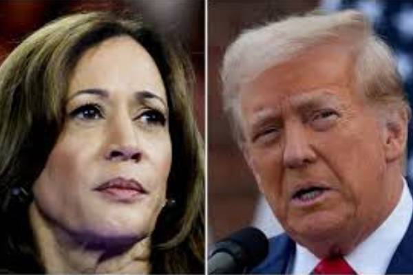 New Project – 2024-10-16T112630.917