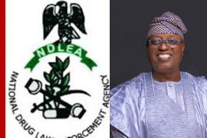 New Project – 2024-10-21T111209.425