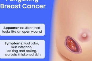 New Project – 2024-10-28T112654.177