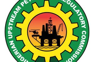 New Project – 2024-10-28T140219.247