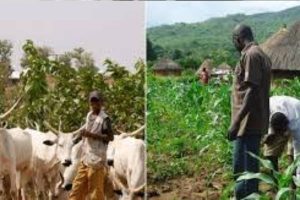 New Project – 2024-10-28T155509.664