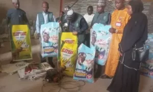 IMG-20241126-WA0121-400×240