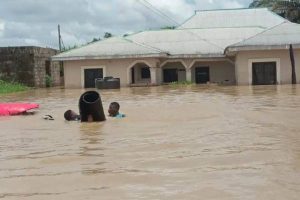 New Project – 2024-11-04T152206.853