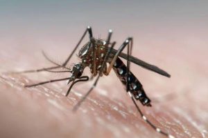 New Project – 2024-11-05T140312.329