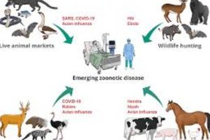 New Project – 2024-11-06T215433.493