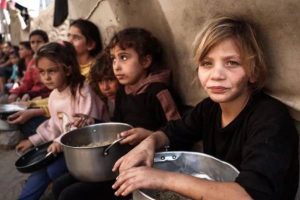 New Project – 2024-11-12T154117.342