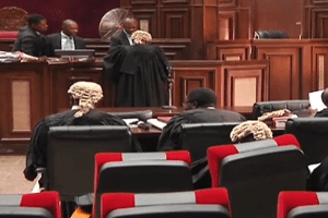 New Project – 2024-11-14T173847.570