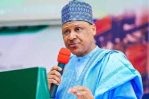 New Project – 2024-11-17T145445.251