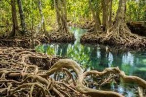 New Project – 2024-11-19T152849.669