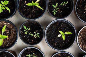 New Project – 2024-11-19T164920.565