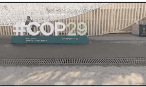 Screenshot 2024-11-10 123300