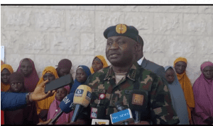 Screenshot 2024-11-16 174255