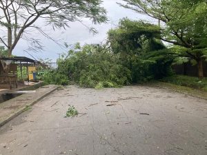 WhatsApp Image 2024-11-10 at 9.02.45 AM (1) (1)