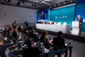 WhatsApp Image 2024-11-12 at 1.22.07 PM (1)