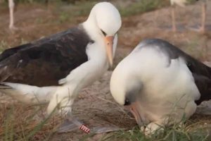 New Project – 2024-12-04T190803.524