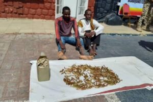 New Project – 2024-12-12T104151.150