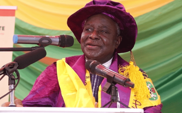 Don urges grid regionalisation to curb frequent collapses