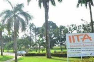 New Project – 2024-12-15T201523.820