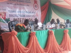 WhatsApp Image 2024-12-11 at 6.21.21 PM (1)