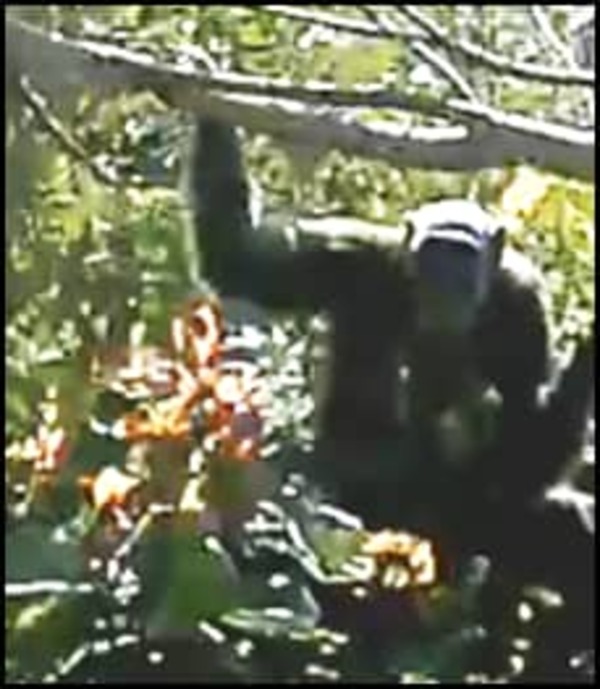 WhatsApp Image 2024-12-24 at 12.32.53 PM (1)