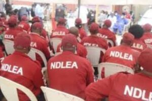 New Project – 2025-01-19T120141.032