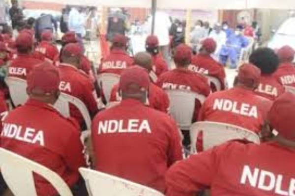 New Project – 2025-01-19T120141.032