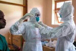 New Project – 2025-02-02T173822.047