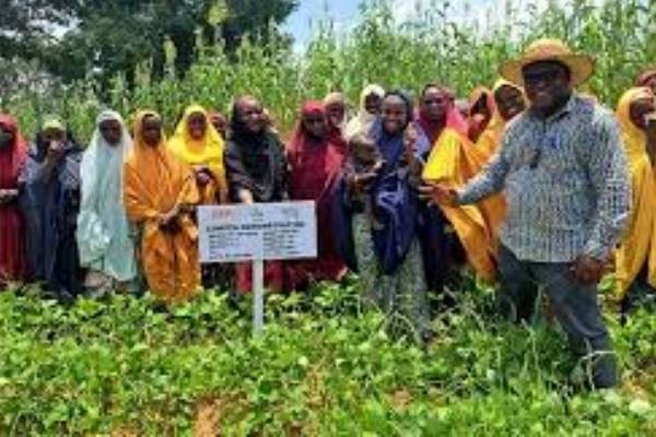 New Project – 2025-02-04T132600.429