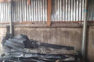 New Project – 2025-02-09T142032.166