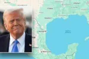 New Project – 2025-02-11T085151.259