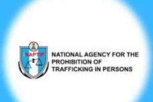 New Project – 2025-03-23T165436.032