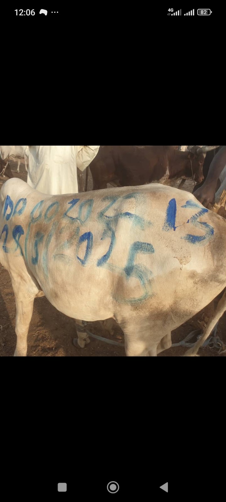 Screenshot_2025-03-29-12-06-40-025_com.whatsapp