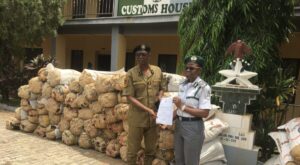 Customs hand over intercepted 1,400kg suspected cannabis sativa to NDLEA in Ondo