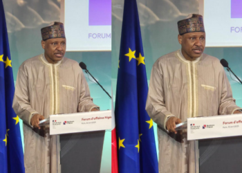 Information Minister Woos French Investors with Nigeria’s Pro-Business Reforms