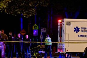 New Project – 2025-04-28T090136.381