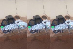 New Project – 2025-05-20T115952.786