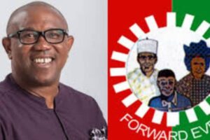 New Project – 2025-05-27T091849.601