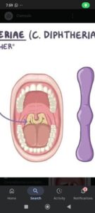 Screenshot_2025-05-29-07-59-34-160_com.google.android.googlequicksearchbox