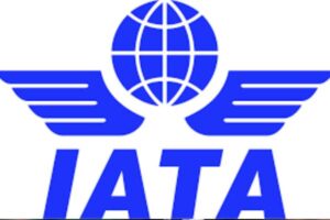 New Project – 2025-06-03T162007.503