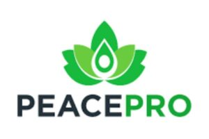 New Project – 2025-06-09T163320.493