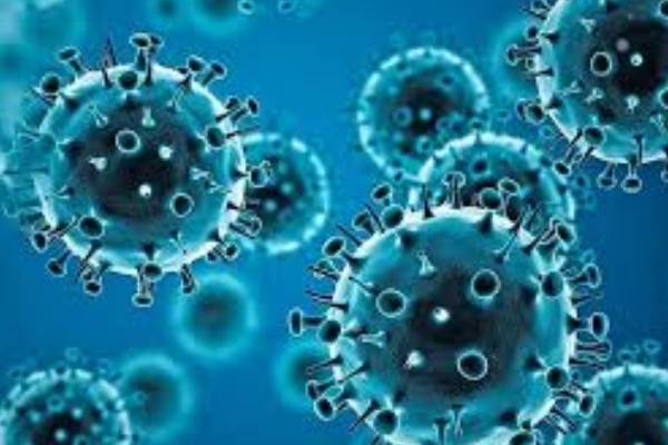 Australian Scientists Track COVID-19’s Evolution In Study