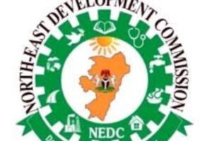 New Project – 2025-06-11T143544.406