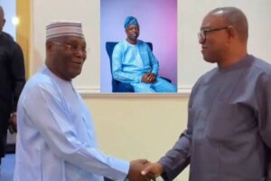 Your anti-Tinubu coalition agenda will fail, APC Chieftain tells Atiku, others