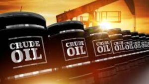 WhatsApp Image 2025-06-18 at 12 (13)