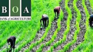 WhatsApp Image 2025-06-18 at 12 (19)