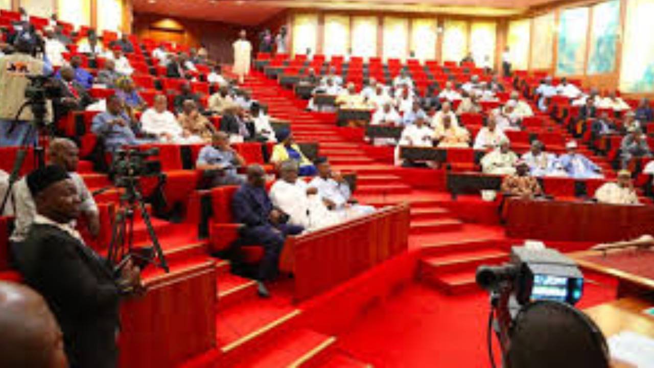 WhatsApp Image 2025-06-18 at 12 (65)